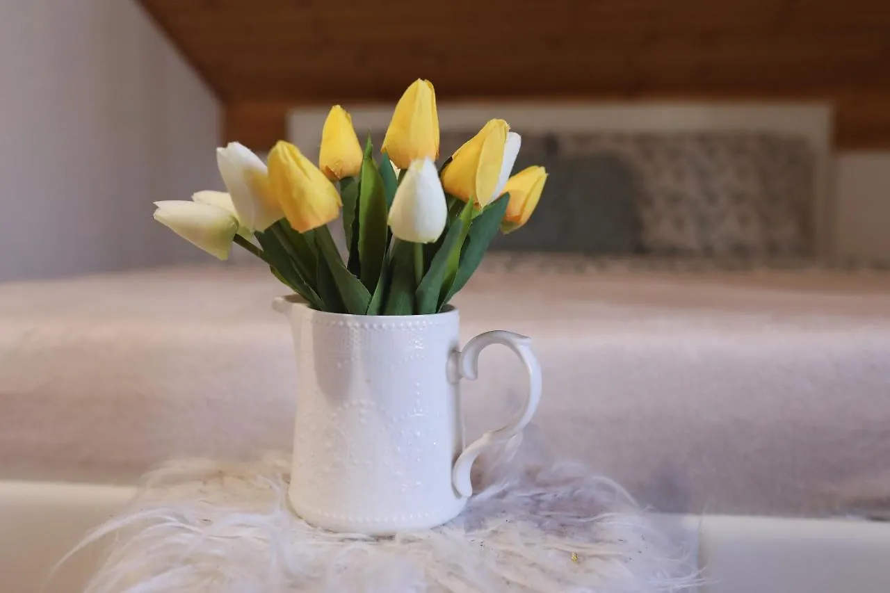 Sea Pearl 1-Ambience Apartment Kali Croatia